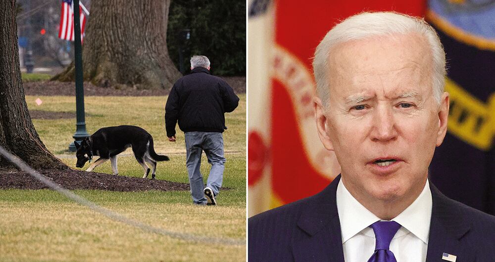 El hijo pintor de Bin Laden_3