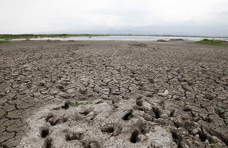 Laguna Sonso / Foto: Luis Ángel Murcia