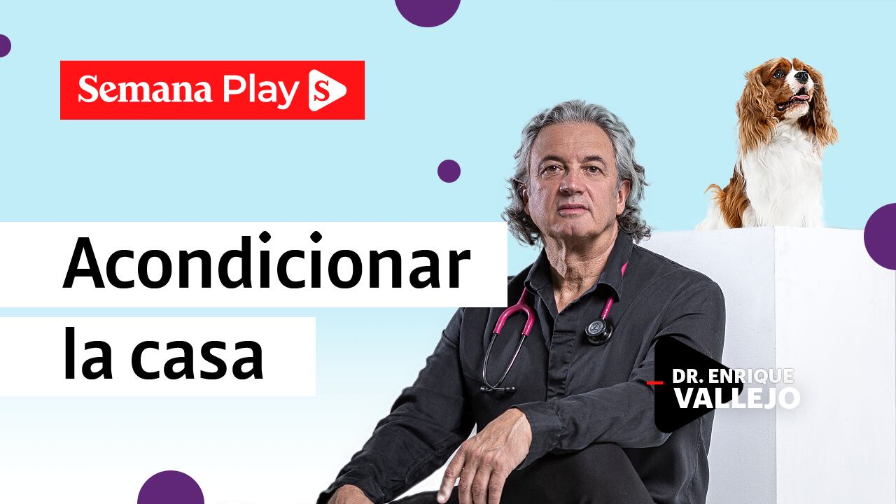 Acondicionar la casa | Enrique Vallejo en Salud Animal