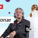 Acondicionar la casa | Enrique Vallejo en Salud Animal