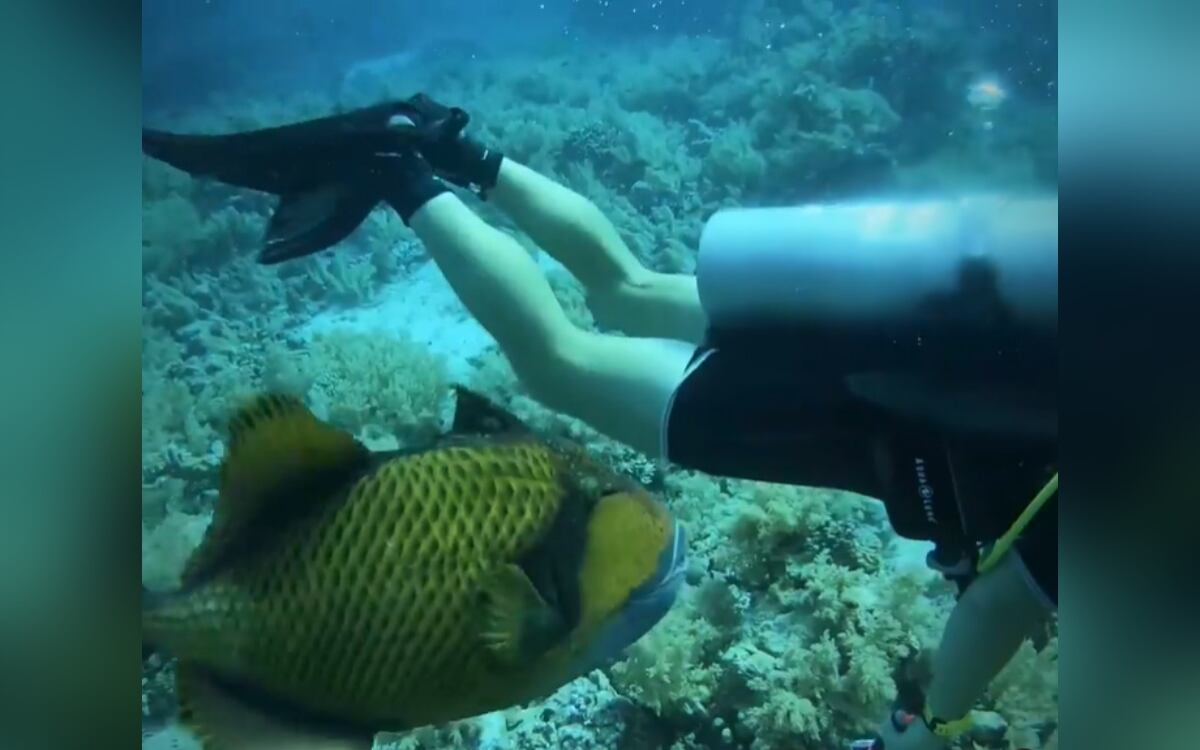 Instagram:@alexpikul22/