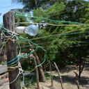 En total, son 10 millones de personas las que se beneficiarán con el buen servicio de energía en la Costa Atlántica y que dejarán de vivir en condiciones de subnormalidad eléctrica.