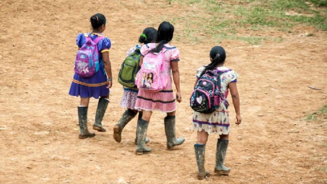 Abuso sexual en Colombia 2020: cifras de Medicina Legal, ICBF y Procuraduría.