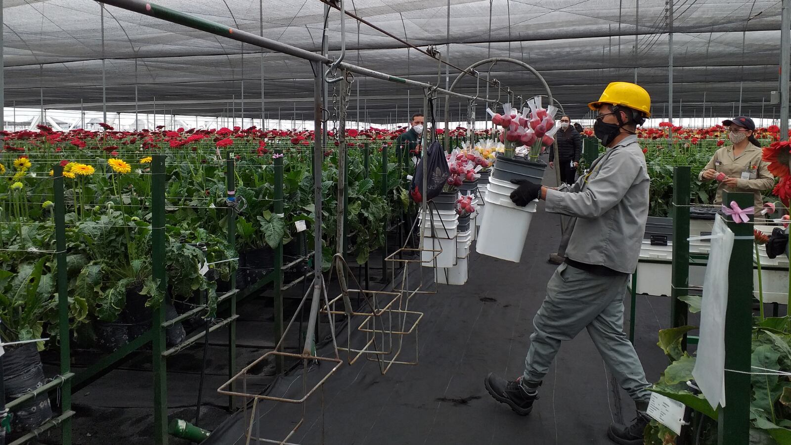 Boletín del Observatorio del Proyecto Migración Venezuela.