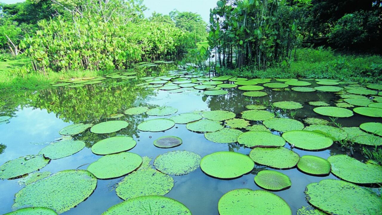 Abren convocatoria para participar en mesas de diálogo por la acción climática
