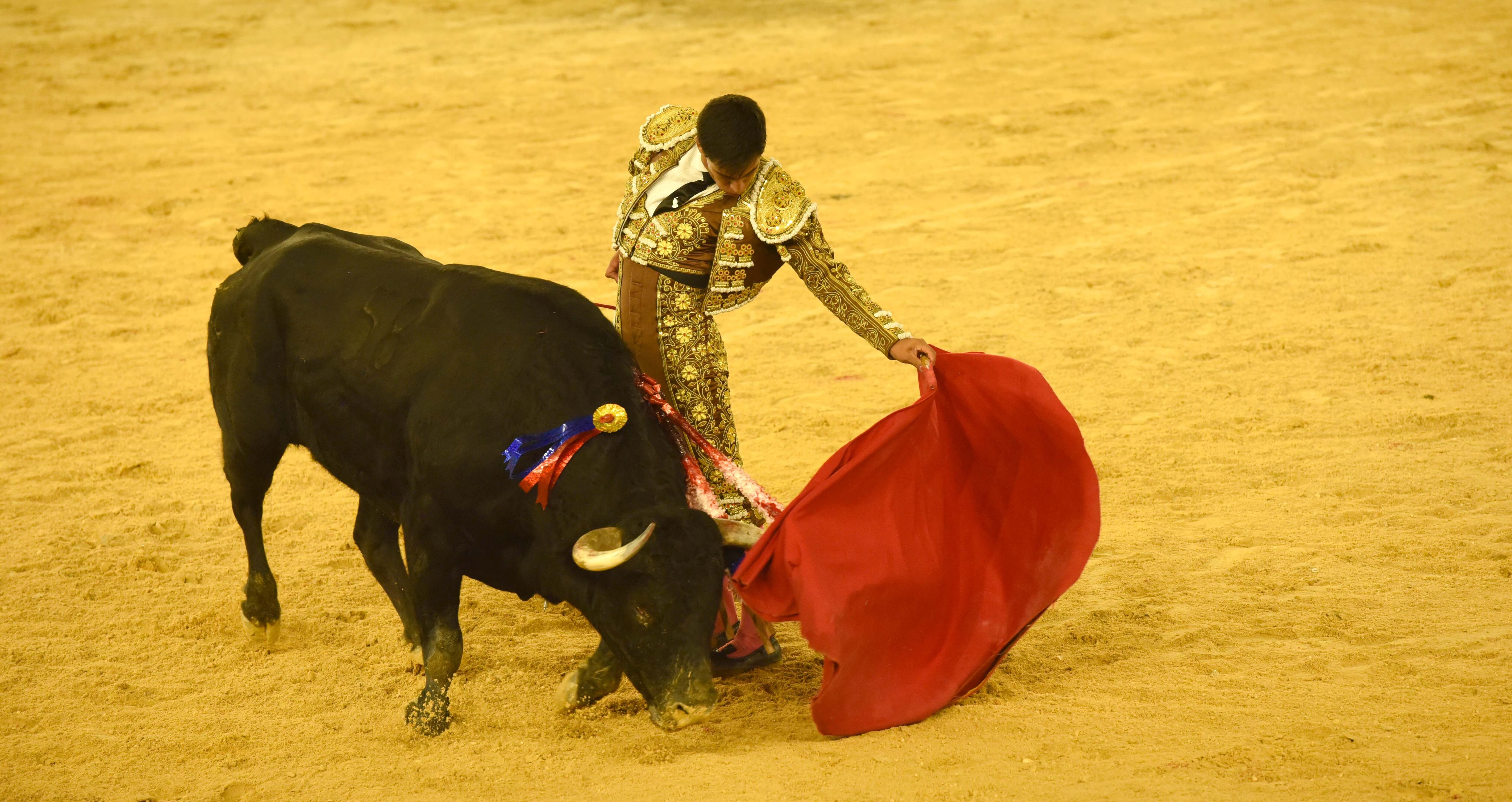 Anderson Sánchez, novillero de Lenguazaque. Cali, 11 de diciembre de 2021.