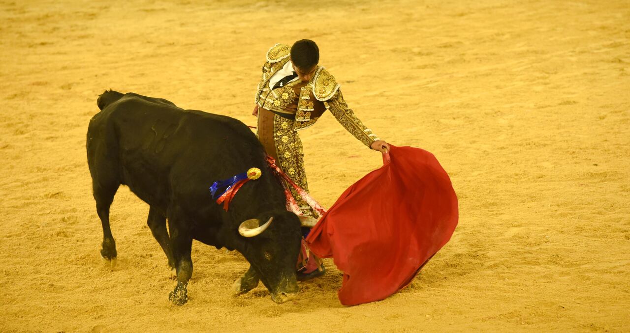 Anderson Sánchez, novillero de Lenguazaque. Cali, 11 de diciembre de 2021.