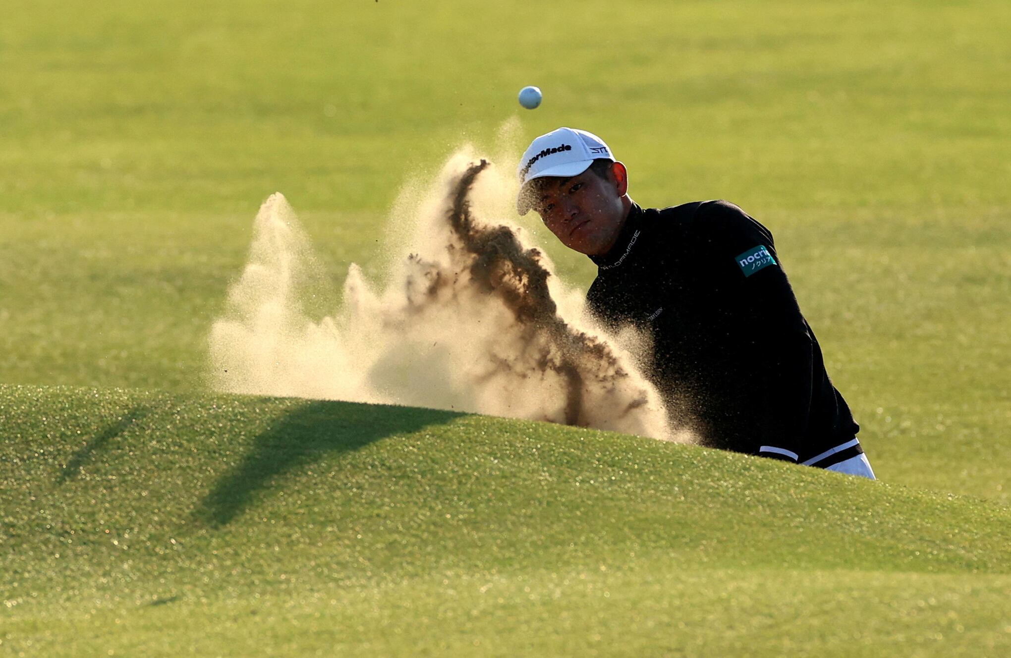 Fotos de la semana 21 julio