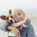 Observar si el seguimiento está acompañado de signos de malestar puede ayudar a identificar posibles problemas subyacentes en el perro.