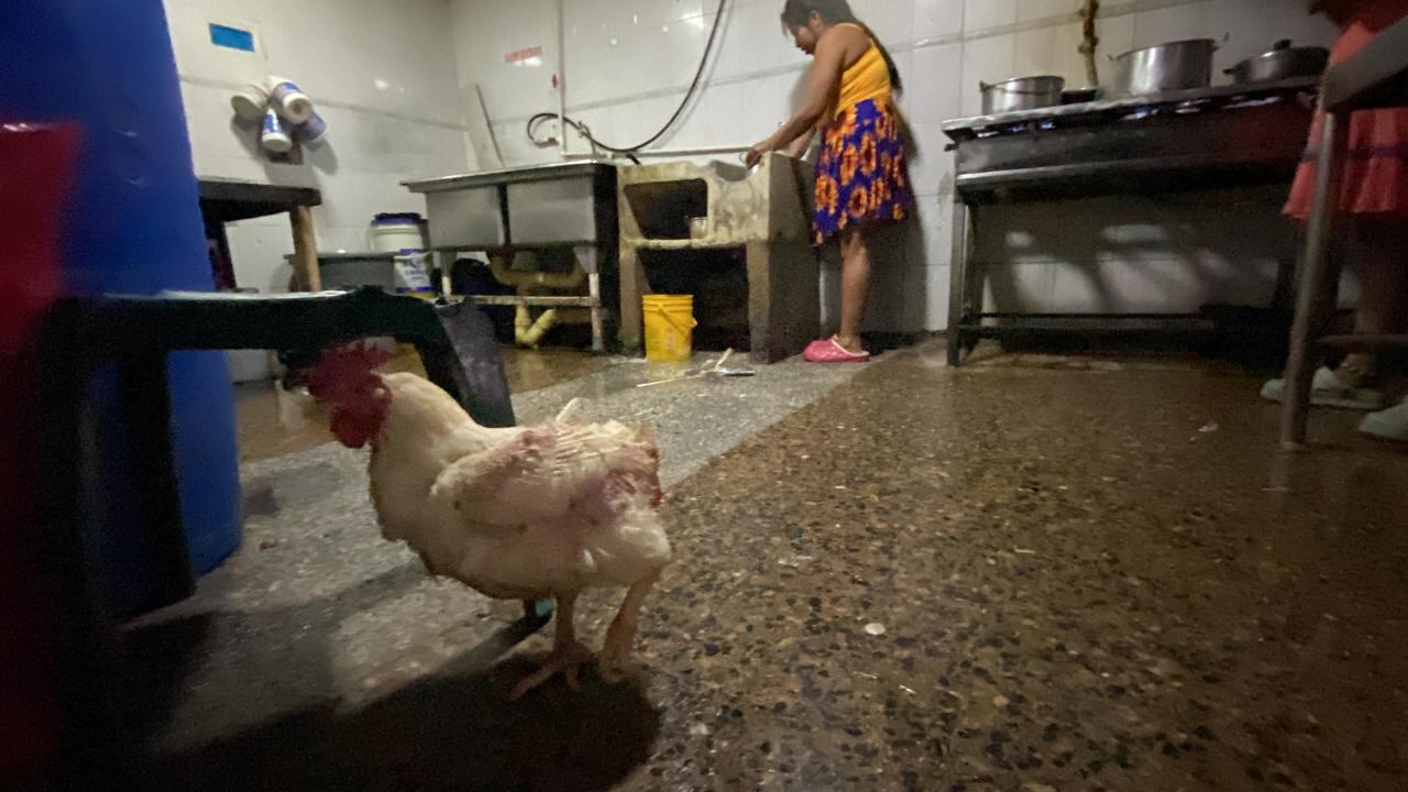 Los indígenas llegaron al hogar Buen Samaritano con la promesa de recibir ayudas del Gobierno, pero hace un año que no saben de ese apoyo.