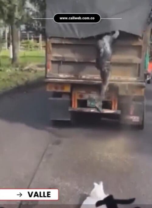 Robo a un camión sobre una vía de Buenaventura.