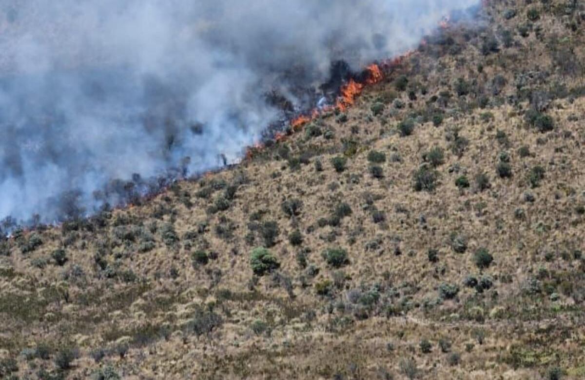 Incendio en el Parque Los Nevados