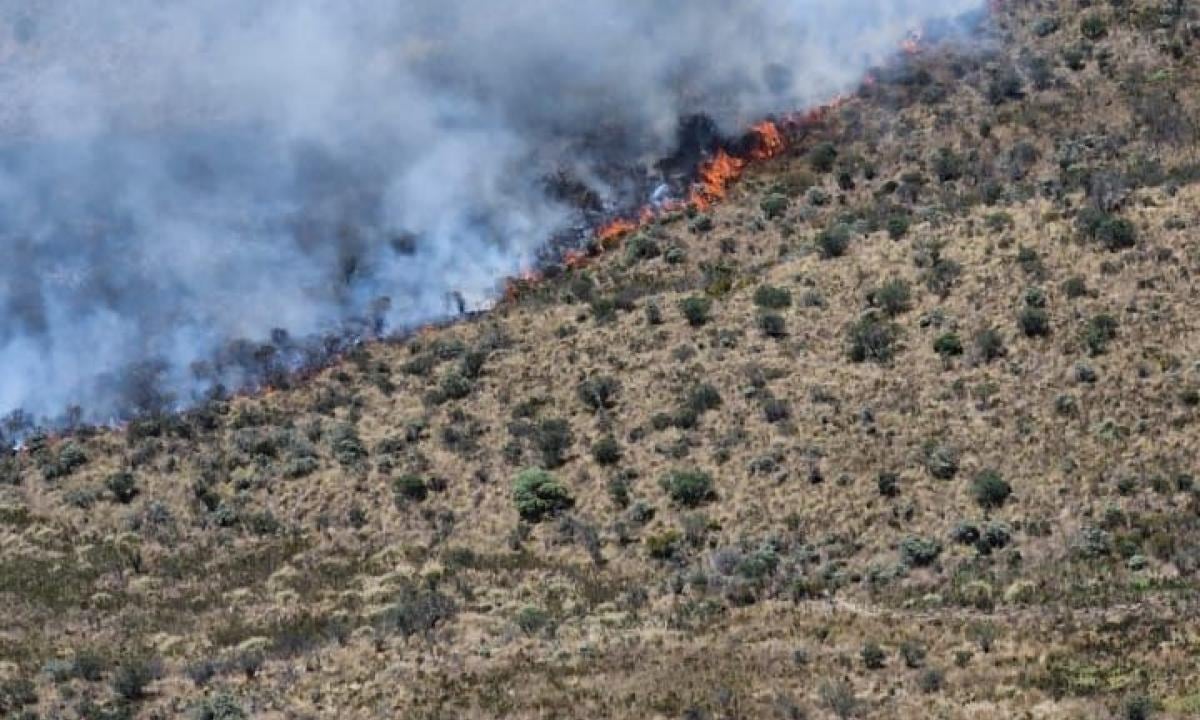 Incendio en el Parque Los Nevados