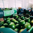 Centro de empaque de aguacate hass