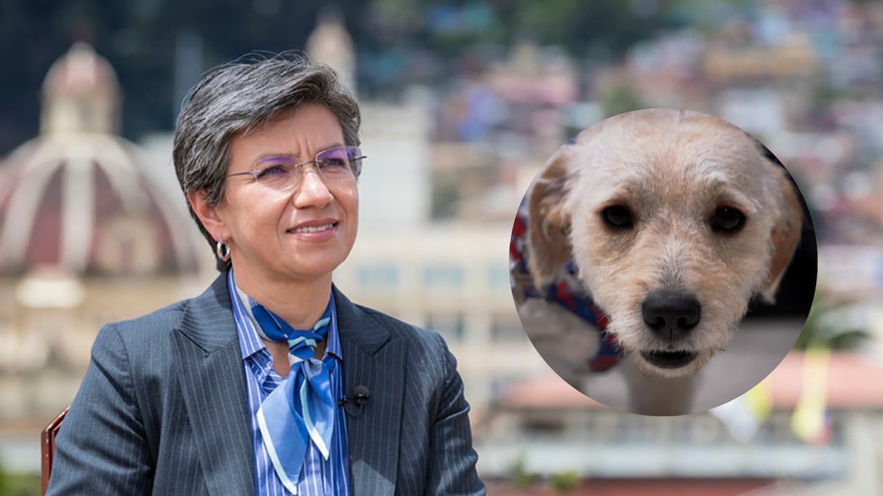 Claudia López, alcaldesa de Bogotá D.C, se refirió al retorno de Justin a su hogar original.