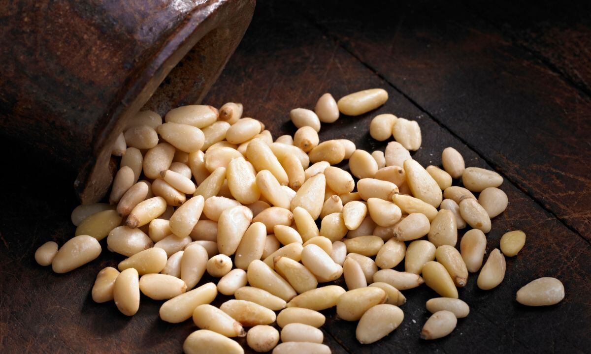 Semilla para la vejez, la diabetes y la anemia.