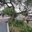 Esta es la doble vía del barrio La Victoria.