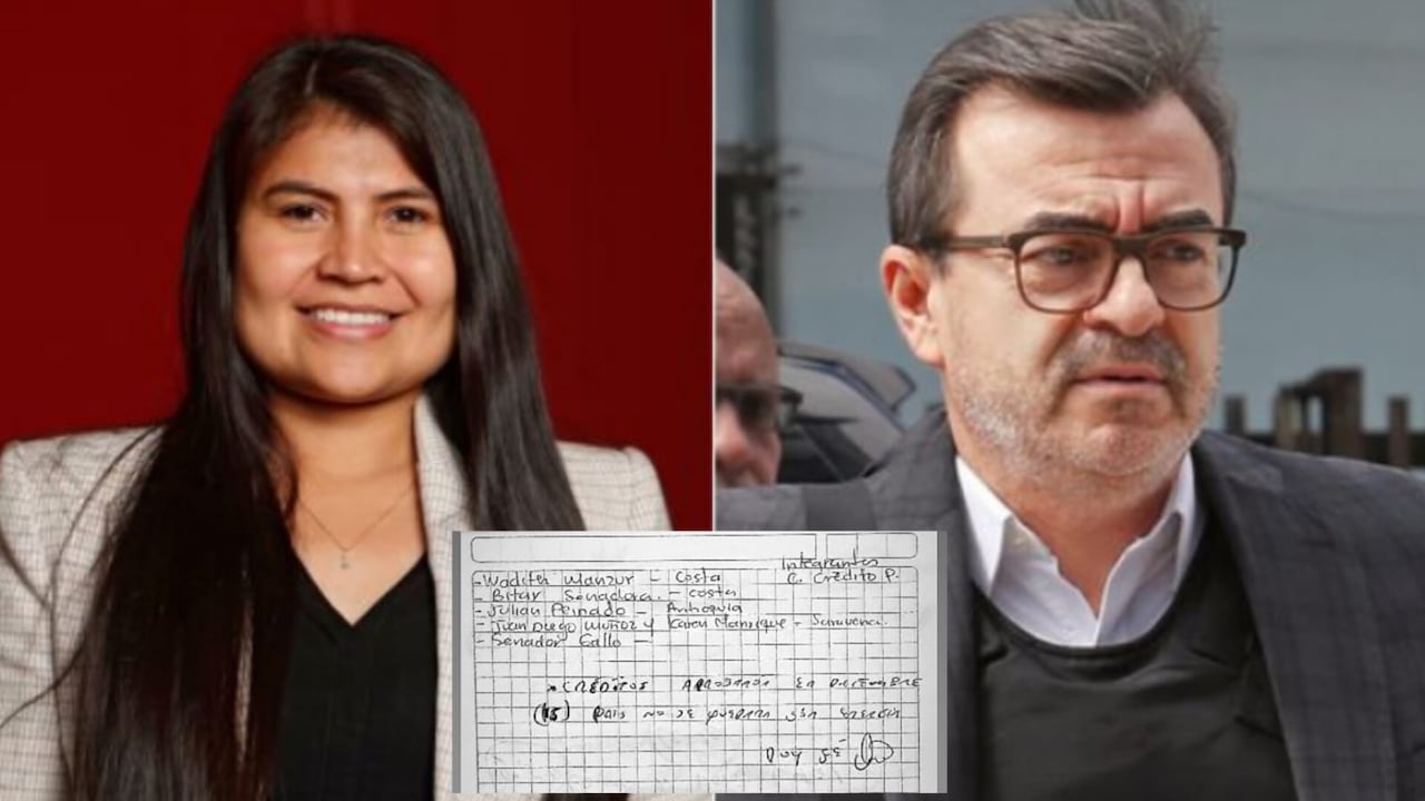 Este es el documento escrito por la representante Karen Manrique y Olmedo López que salpica a más congresistas.