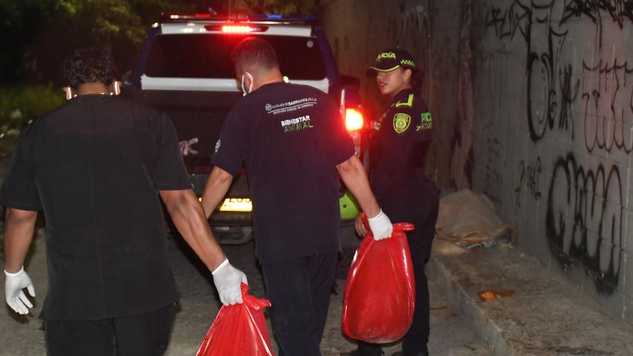 Las autoridades buscan a los responsables.