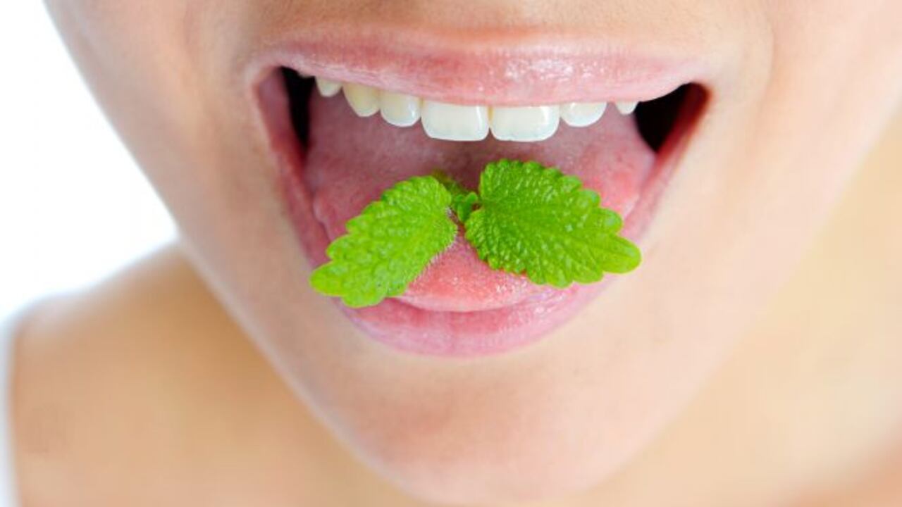Recomendaciones de expertos con remedios naturales para evitar el mal aliento.