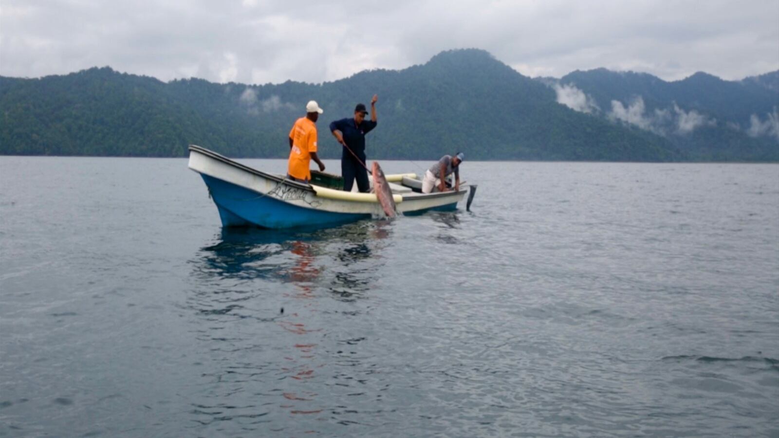 La pesca responsable es una técnica que permite conservar los ecosistemas de mar y asegura la sostenibilidad del recurso.