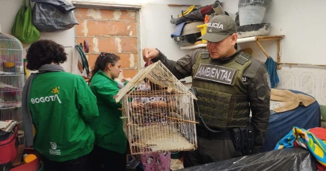 Los operativos fueron en las localidades de Usme, Rafael Uribe Uribe y Antonio Nariño.
