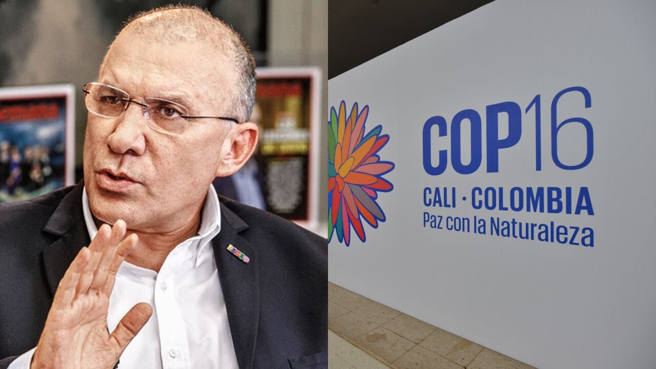 Tras aparición de Roy Barreras, Cancillería les llamó la atención a los funcionarios que participan en la COP16.
