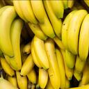 Bananos de la variedad Cavendish, la cual es utilizada por países productores para exportación.