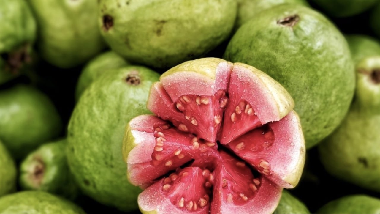 La guayaba es una fruta rica en vitamina C que tiene mucha más que la naranja