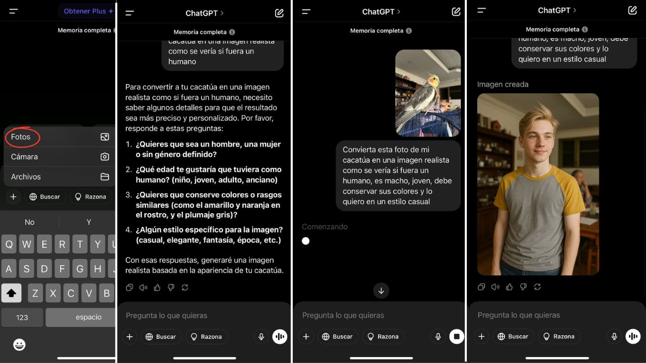 Paso a paso para convertir a su mascota en humano, con ChatGPT.