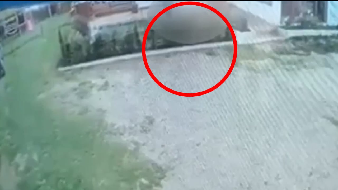 Maltrato animal en Motavita, Boyacá, quedó registrada en una cámara de seguridad de un centro de cuidado animal.