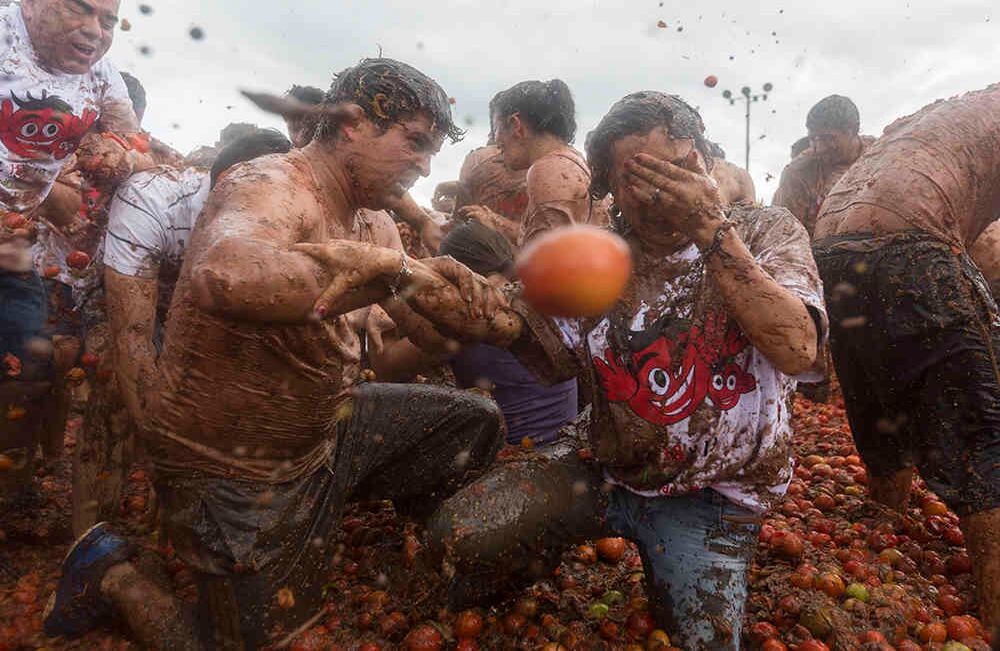 Con 35 toneladas de tomate descartado de las cosechas, se desarrolló la versión 11 de la gran tomatina colombiana 