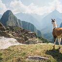 Machu Picchu es uno de los lugares más turísticos e imperdibles de Perú.