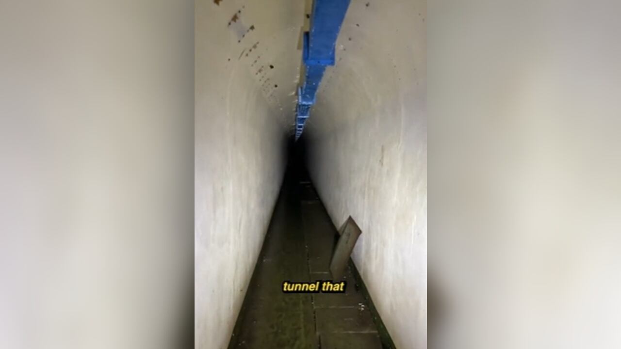 El video ha generado muchas reacciones en la plataforma digital.