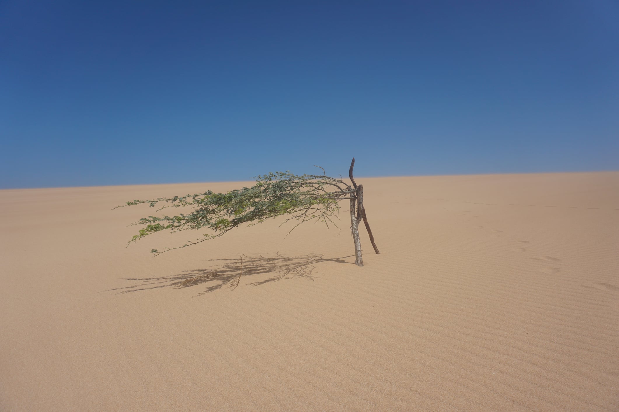 Las Dunas del Taroa, famosas dunas de arena cerca de Punta Gallinas, La Guajira, Colombia.