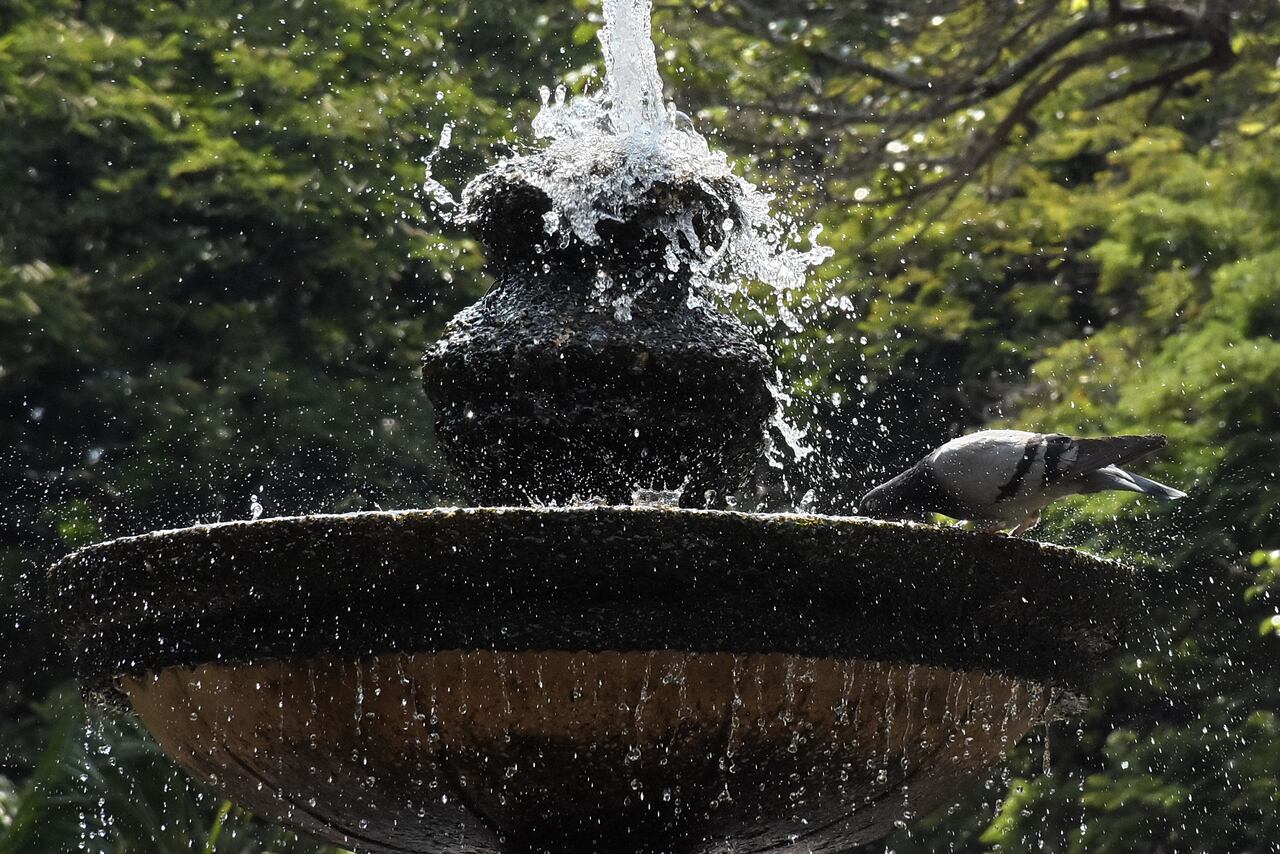 Cali esta semana ha estado sobre los 33 grados de temperatura máxima.