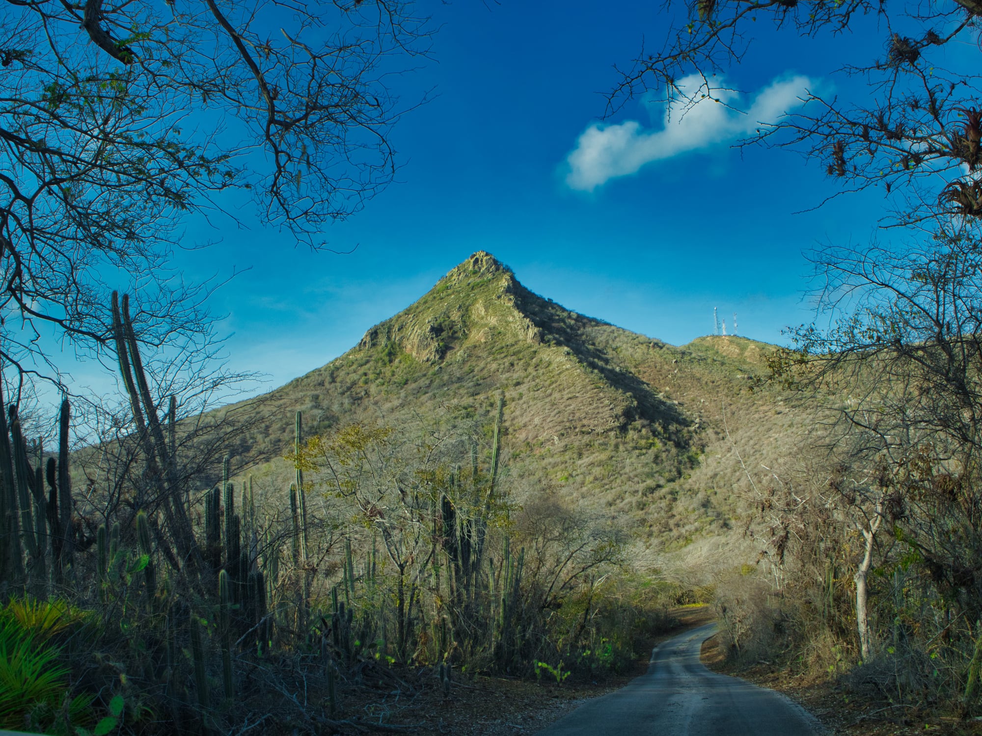Con vistas panorámicas desde el Monte Christoffel y una rica fauna que incluye especies endémicas, este parque es una joya para los amantes del senderismo y la vida silvestre.