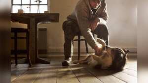 Es importante que los dueños de mascotas entiendan el lenguaje corporal para comprender a los perros. Foto:GettyImages.