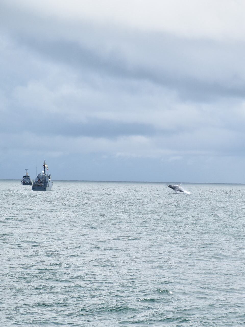 Autoridades refuerzan dispositivos de seguridad en medio de la temporada de avistamiento de ballenas.