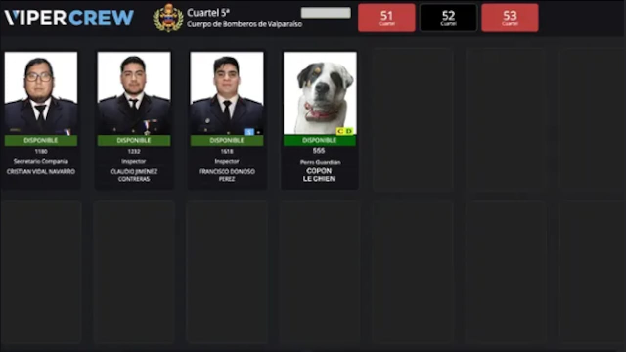 Él es Copón, el perro que es 'bombero'