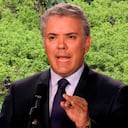 Duque cultivos de coca