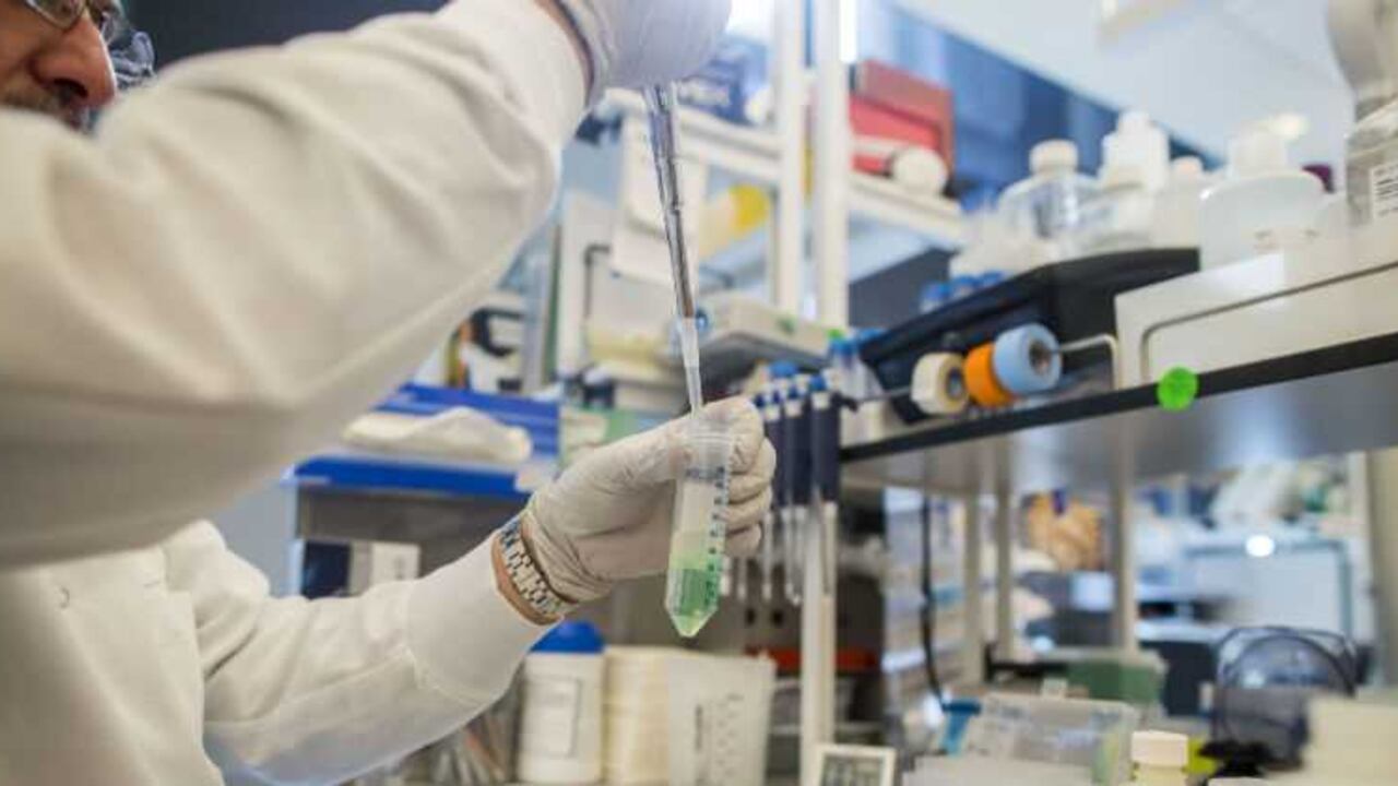 Está demostrada desde el punto de vista académico la relación entre innovación –basada en investigación y desarrollo, I&D, o no- y la productividad.