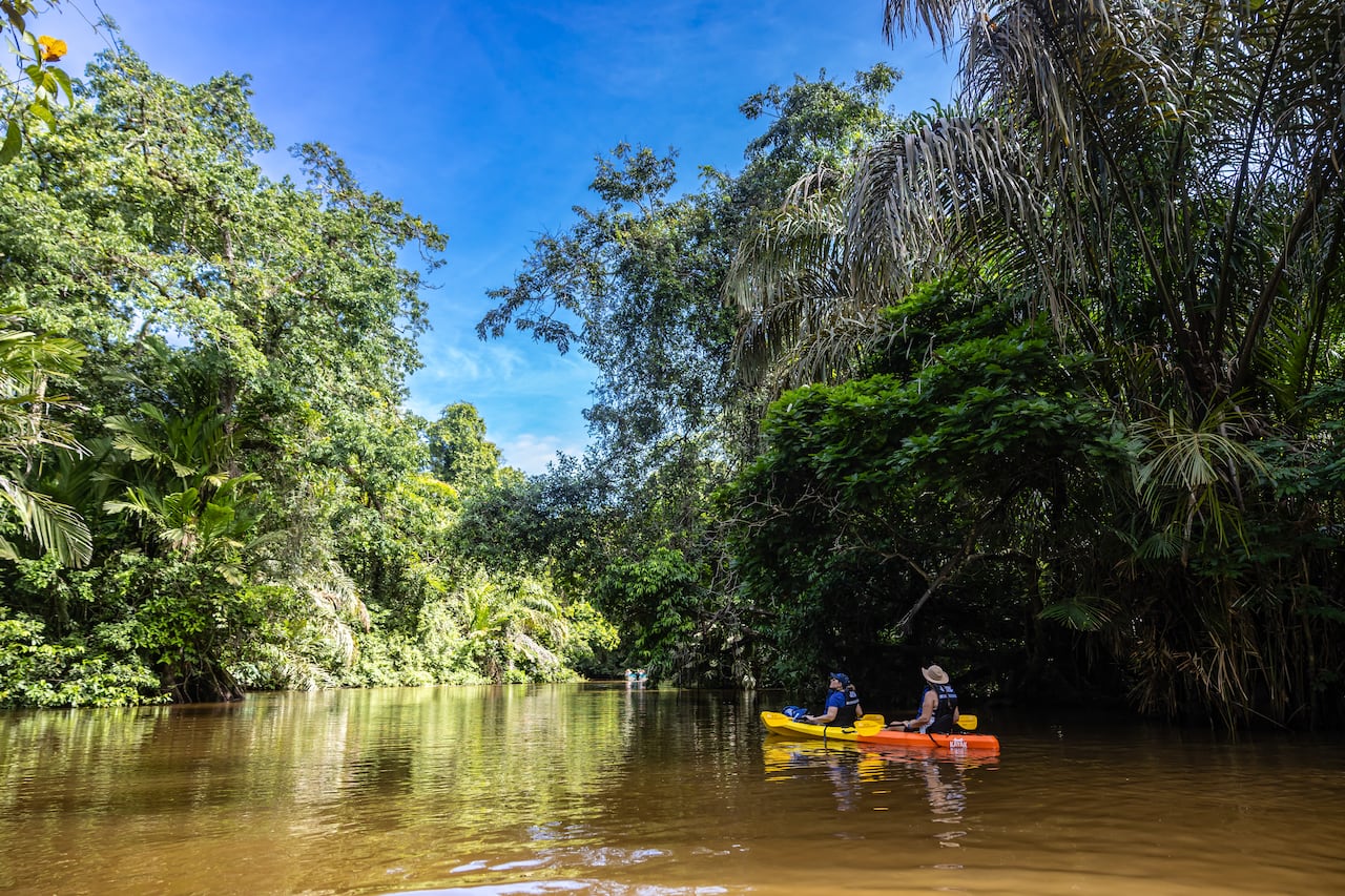 Diferentes bosques tropicales y ecosistemas componen la riqueza natural de Costa Rica.