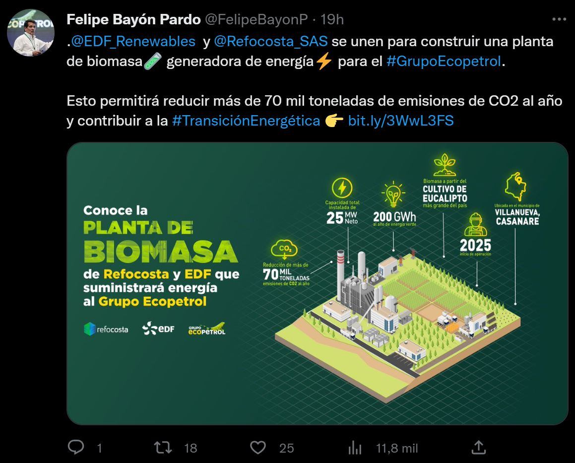 Trino cuenta falsa Felipe Bayón