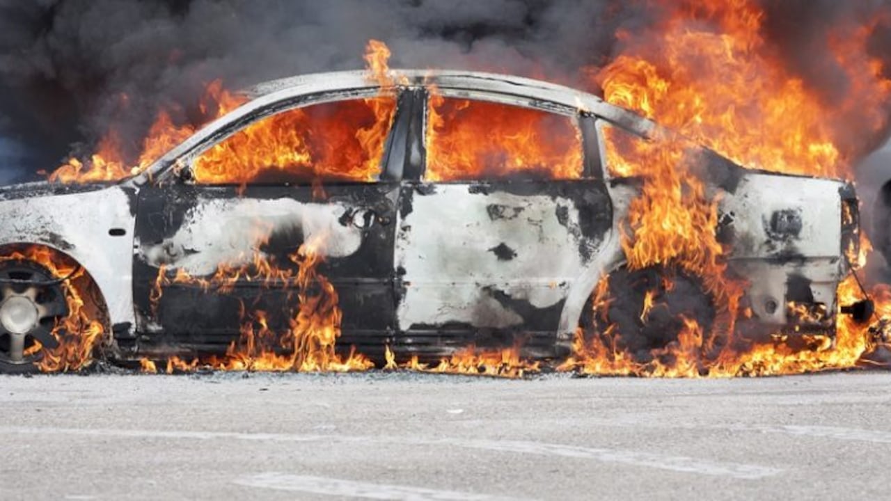 Nadie resultó herido en la explosión, aunque el vehículo y los árboles circundantes quedaron destruidos.