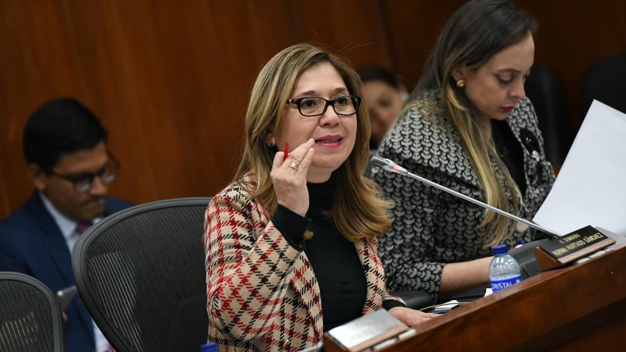 Senadora Norma Hurtado.