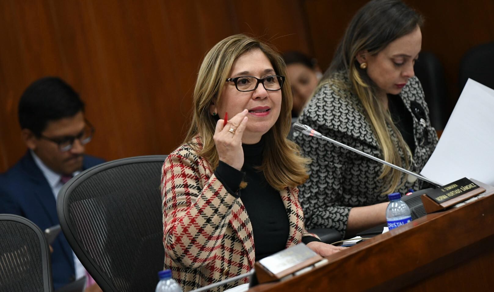 Senadora Norma Hurtado.