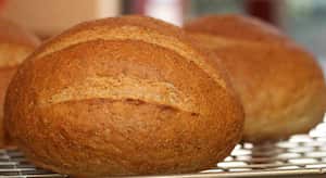 El gluten está presente en los granos y harinas que consumimos a diario.