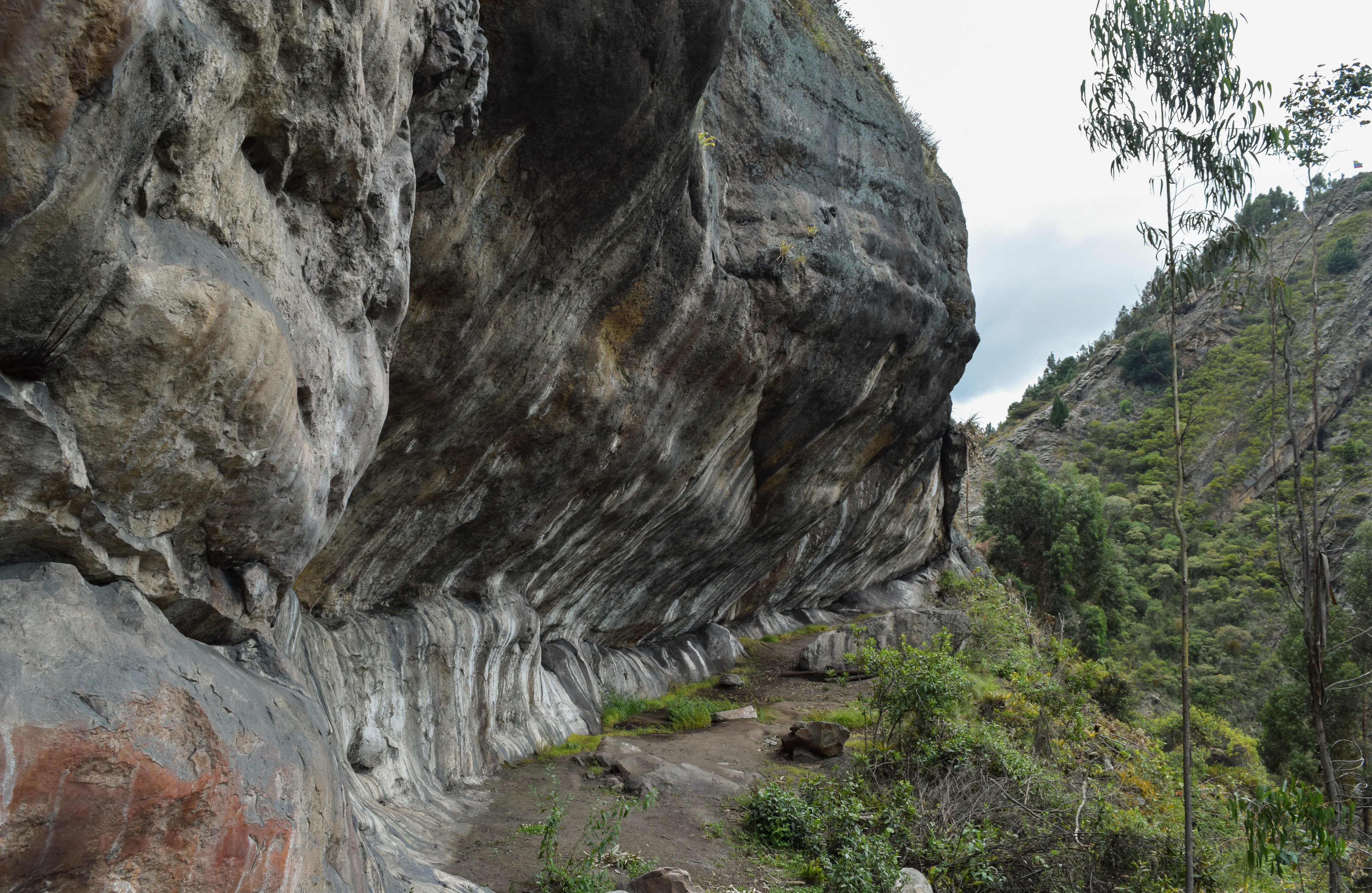 La caminata se puede realizar en dos o tres horas, dependiendo del estado físico. Durante el recorrido hay terrenos planos y pendientes. En el punto más alto el farallón alcanza los 3.200 metros de altura - Ronald Mauricio Pinzón Prada - Prensa Sutatausa