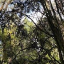 Cerros orientales Bogotá